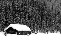 Winter Scene, Lake Louise (B&W)