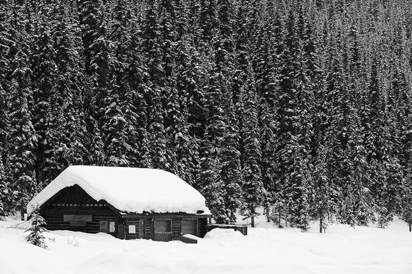 Winter Scene, Lake Louise (B&W)