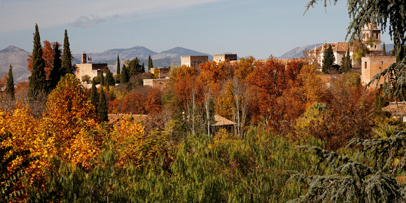 Alhambra Fall Colors