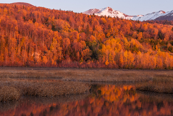 Chugach Mountains - Fall Colors