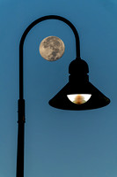 Street Lamp with Sturgeon Full Moon, 13-Aug-2022