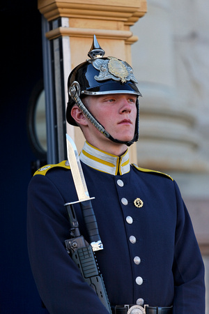 Guard at Royal Palace