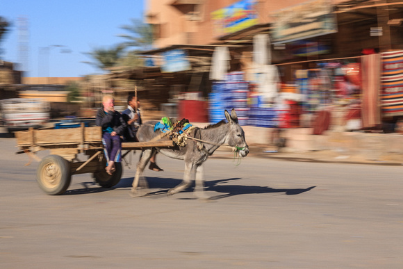 Donkey Cart Action