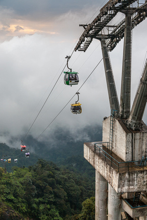 Cable Car over Rainforest