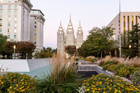 Mormon Temple at Dawn