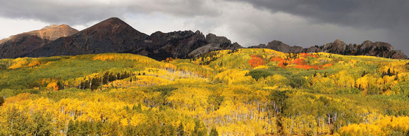 Aspen Fall Colors with Storm Clouds