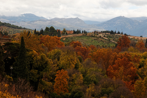 Alhambra Fall Colors