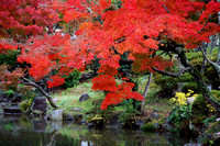 Maple Colors, Kyoto