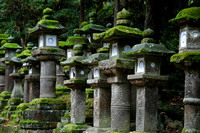Stone Lanterns at Kasuga Shrine