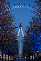 London Eye at Dawn