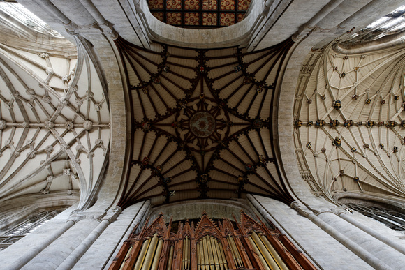 Decorated Ceiling, Winchester Cathedral