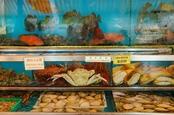 Fresh seafood, Sai Kung